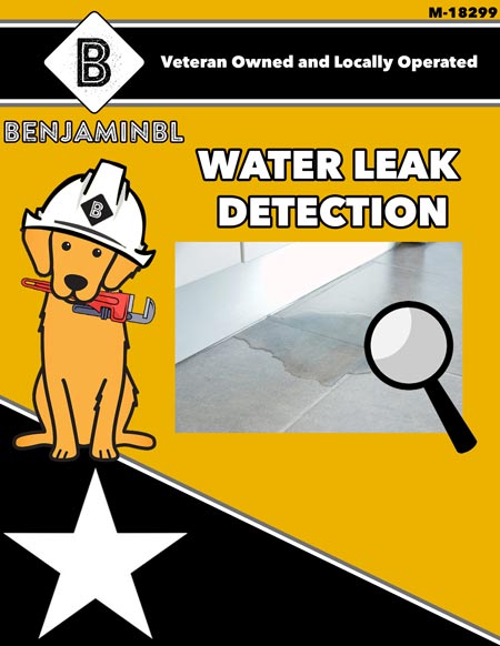 water leak detection